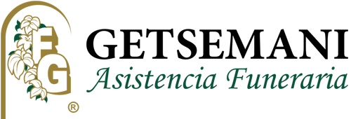 professional web design services